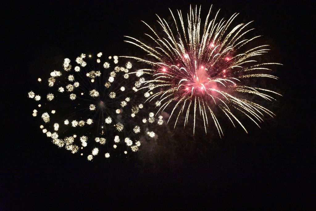july 4 #2019 083 (1024x683).jpg